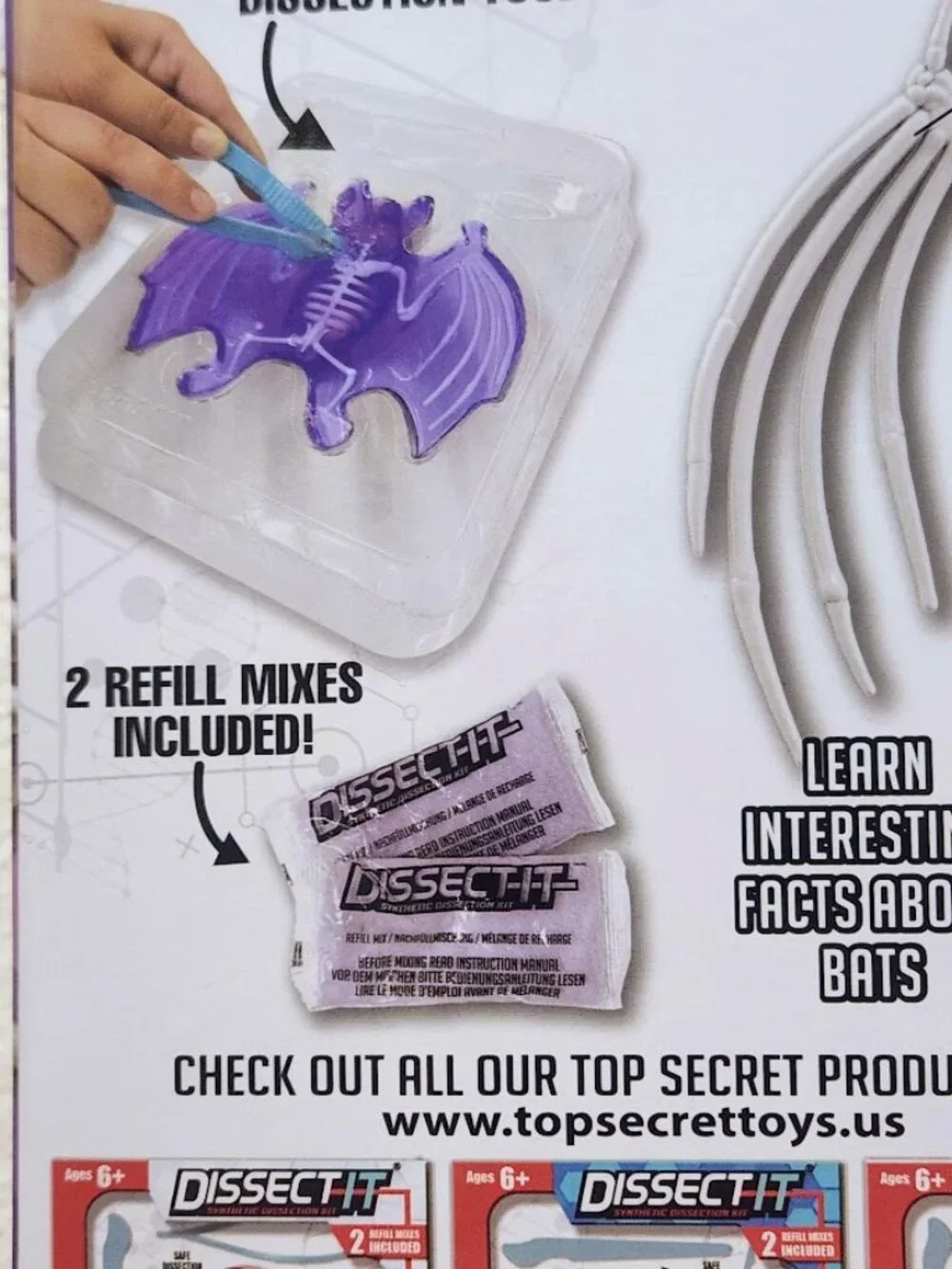 NEW Dissect-it Synthetic Lab Dissection Toy STEM KIT CRAFT Project Bat Biology A